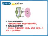 (新課標(biāo))初中科學(xué)浙教版七年級(jí)上冊(cè)2.1 生物體的基本單位 第4課時(shí)課件