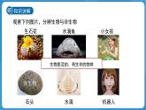 (新課標(biāo))初中科學(xué)浙教版七年級(jí)上冊(cè)2.1生物體的基本單位 第1課時(shí)課件