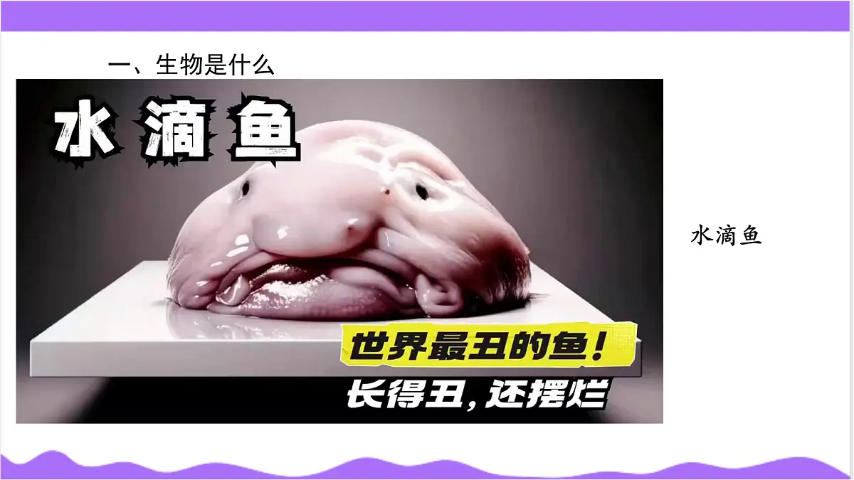 第1节 生物体的基本单位（一）-教学课件第7页
