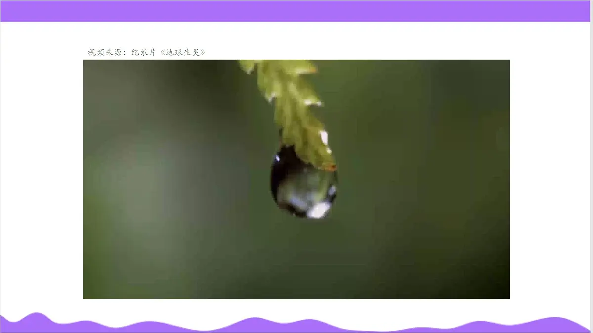 第3节 多姿多彩的动物（一）-教学课件第3页