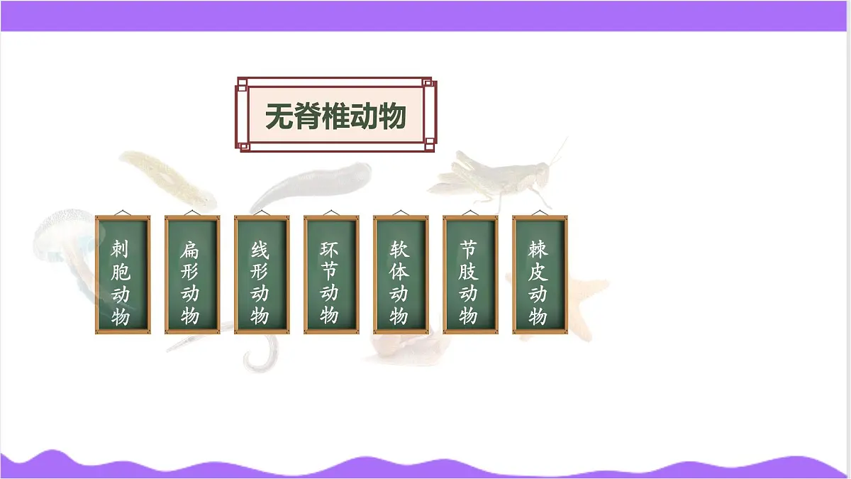 第3节 多姿多彩的动物（一）-教学课件第5页