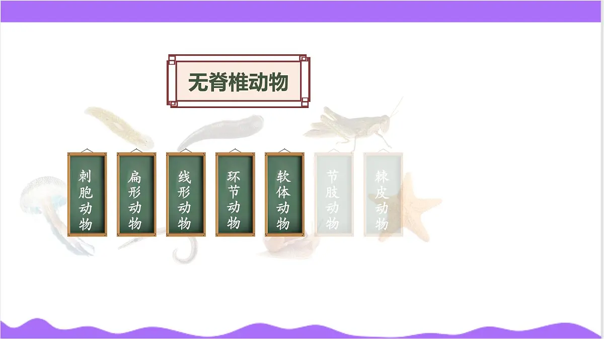 第3节 多姿多彩的动物（一）-教学课件第6页