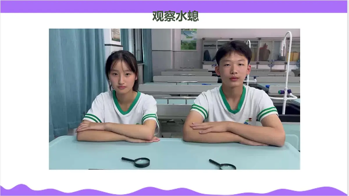 第3节 多姿多彩的动物（一）-教学课件第8页
