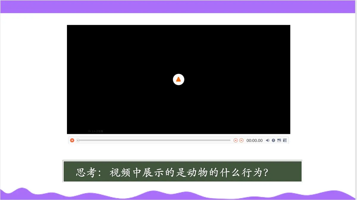 第3节 多姿多彩的动物（三）-教学课件第3页
