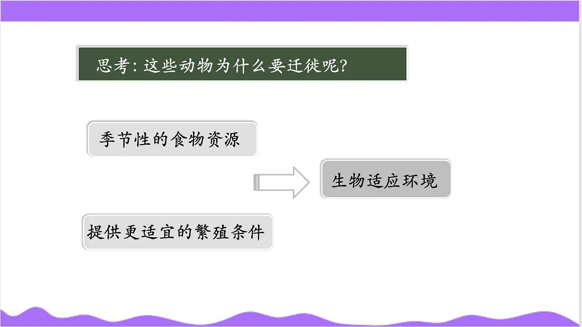 第3节 多姿多彩的动物（三）-教学课件第4页