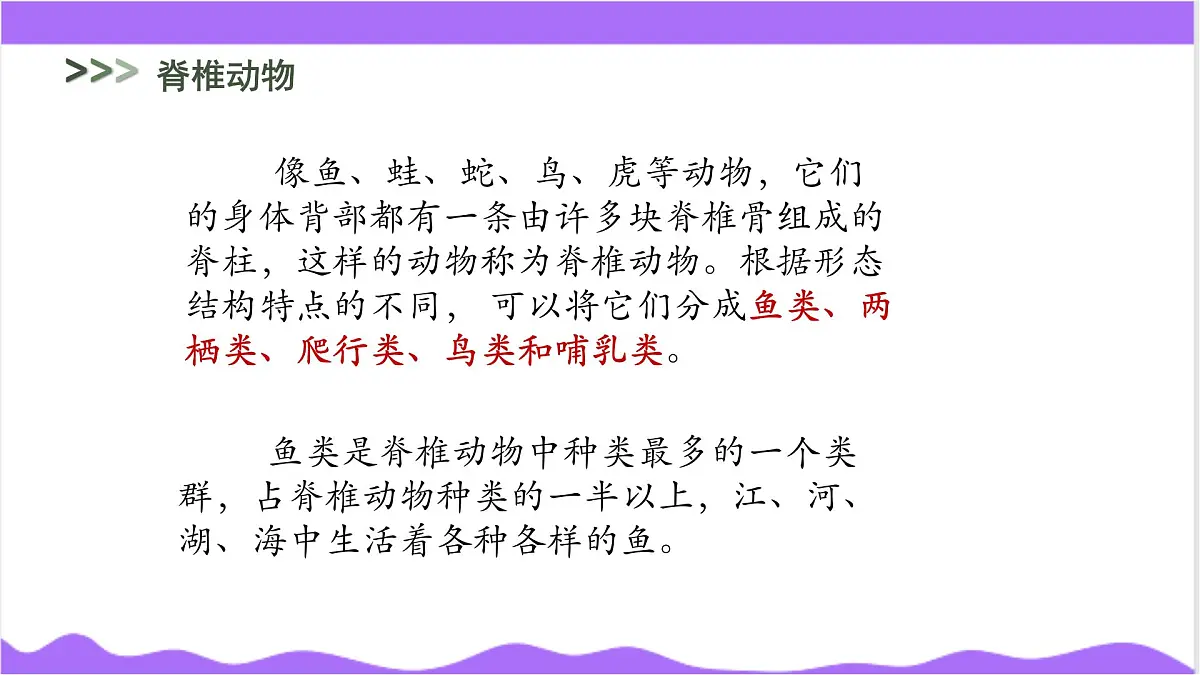 第3节 多姿多彩的动物（三）-教学课件第6页