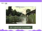 科學浙教版（2024）七年級上冊 第2章  第3節(jié) 多姿多彩的動物（四）- 課件+教案+習題+任務單
