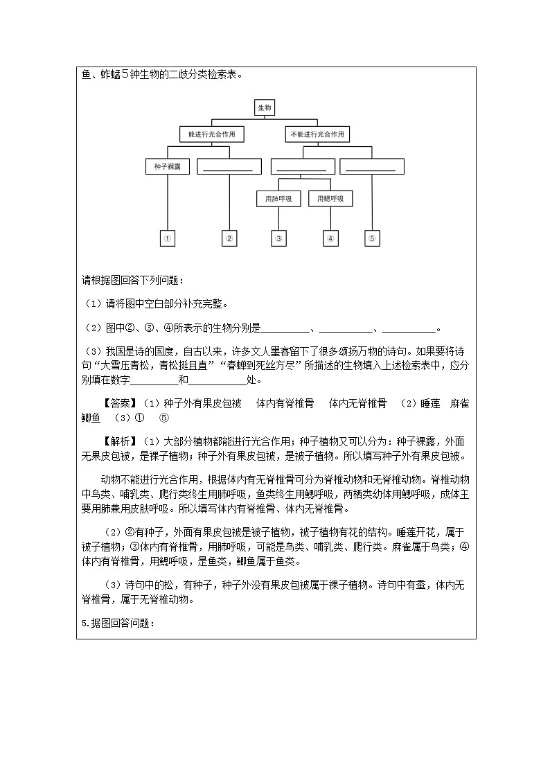 第4节 生物的分类（一）-课后练习第3页