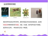 科學(xué)浙教版（2024）七年級(jí)上冊(cè) 第4章  第1節(jié) 機(jī)械運(yùn)動(dòng)（四）- 課件+教案+習(xí)題+任務(wù)單