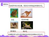 科學(xué)浙教版（2024）七年級上冊 第2章  第5節(jié) 生物多樣性（二）- 課件+教案+習(xí)題+任務(wù)單