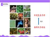 科學(xué)浙教版（2024）七年級上冊 第2章  第5節(jié) 生物多樣性（二）- 課件+教案+習(xí)題+任務(wù)單