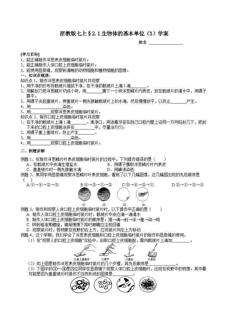 浙教版（2024版）初中科学七年级上册 2.1生物体的基本单位（3）学案第1页