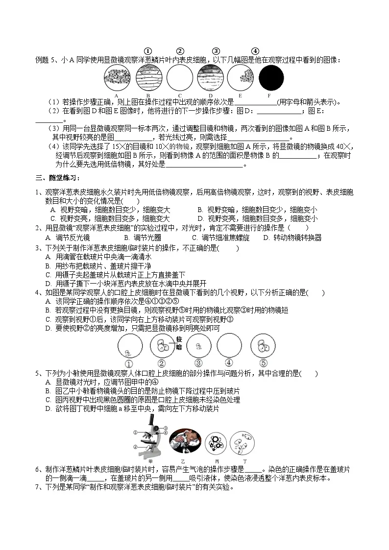 浙教版（2024版）初中科学七年级上册 2.1生物体的基本单位（3）学案第2页