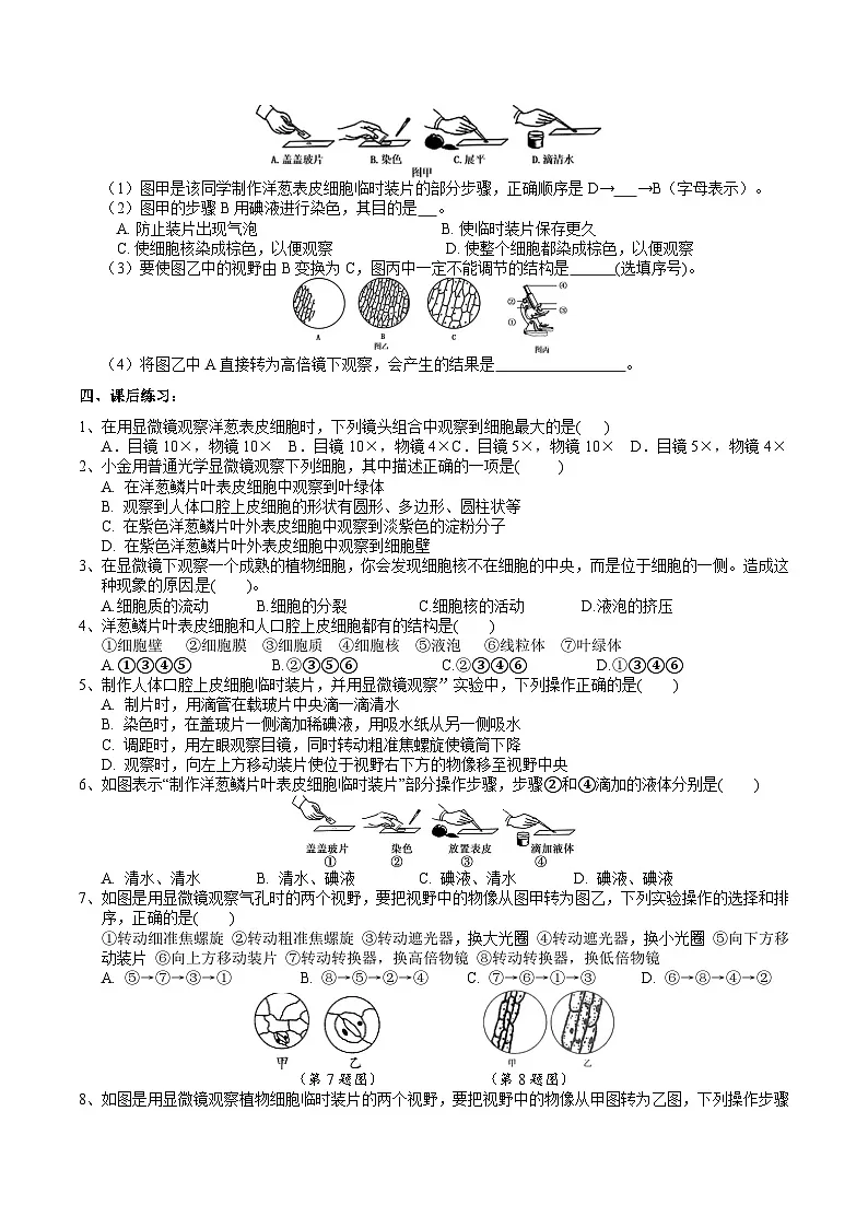浙教版（2024版）初中科学七年级上册 2.1生物体的基本单位（3）学案第3页