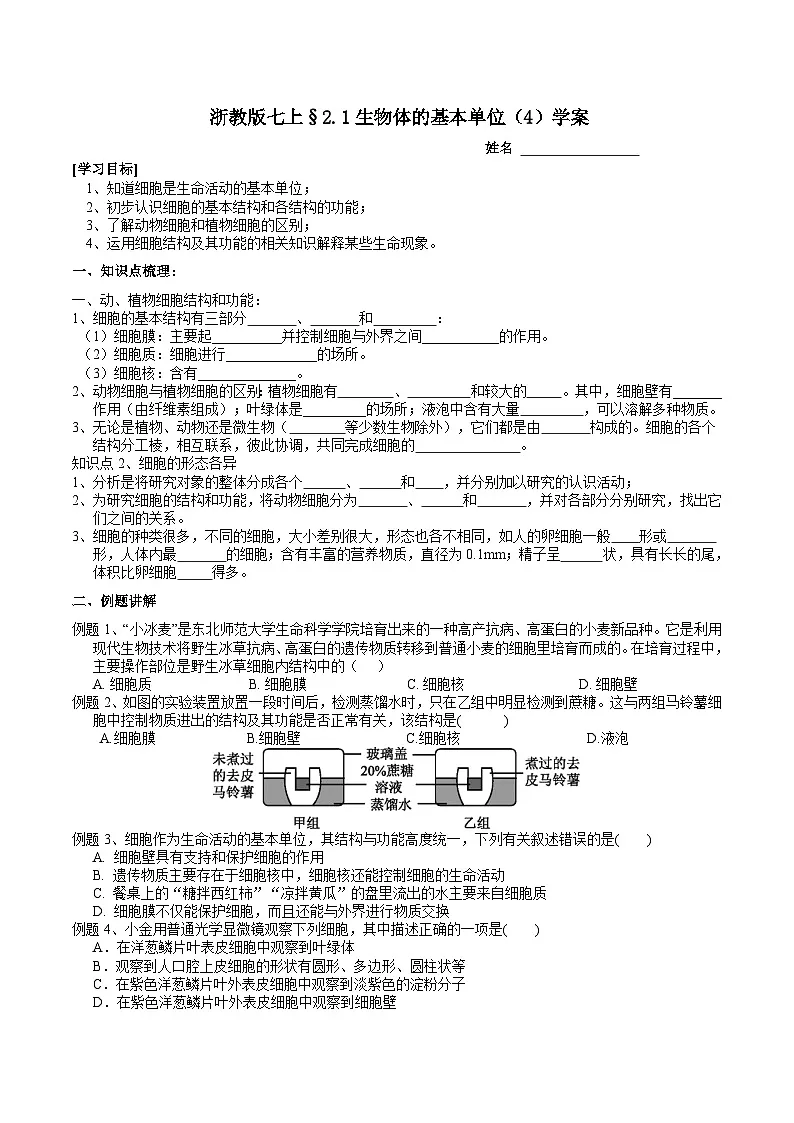 浙教版（2024版）初中科学七年级上册 2.1生物体的基本单位（4）学案第1页