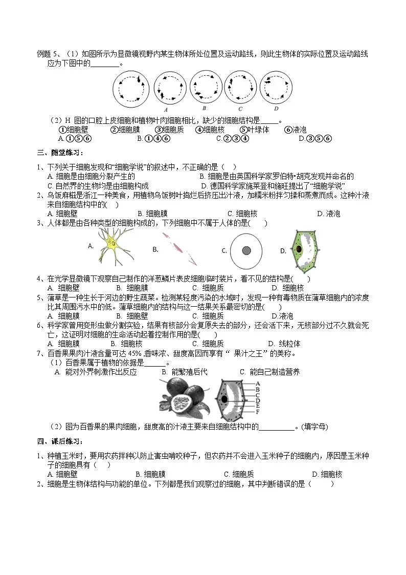 浙教版（2024版）初中科学七年级上册 2.1生物体的基本单位（4）学案第2页