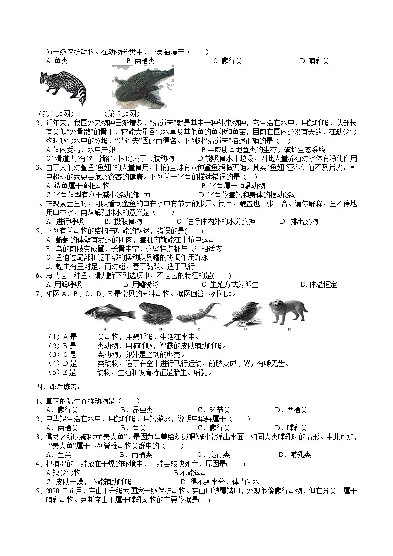 浙教版（2024版）初中科学七年级上册 2.3多姿多彩的动物（2） 学案第3页