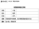 2025年淅教版七年級科學(xué)上冊 第2節(jié) 形形色色的植物（課件）