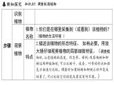 2025年淅教版七年級科學(xué)上冊 第2節(jié) 形形色色的植物（課件）