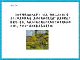 【新教材核心素養(yǎng)】浙教版科學(xué)八年級(jí)上冊(cè)1.4《光的反射和折射》第1課時(shí)（課件+同步教案+導(dǎo)學(xué)案+素材）