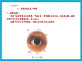 【新教材核心素養(yǎng)】浙教版科學(xué)八年級上冊1.5《透鏡和視覺》第4課時（課件+同步教案+導(dǎo)學(xué)案+素材）