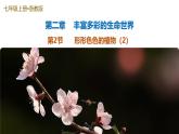 第2節(jié) 形形色色的植物 第2課時（培優(yōu)教學(xué)課件）-2025-2026學(xué)年七年級科學(xué)上冊（浙教版2024）