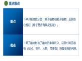 第2節(jié) 形形色色的植物 第2課時（培優(yōu)教學(xué)課件）-2025-2026學(xué)年七年級科學(xué)上冊（浙教版2024）