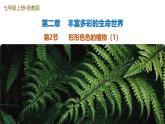 第2節(jié) 形形色色的植物 第1課時（培優(yōu)教學(xué)課件）-2025-2026學(xué)年七年級科學(xué)上冊（浙教版2024）