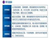 第2節(jié) 形形色色的植物 第1課時（培優(yōu)教學(xué)課件）-2025-2026學(xué)年七年級科學(xué)上冊（浙教版2024）