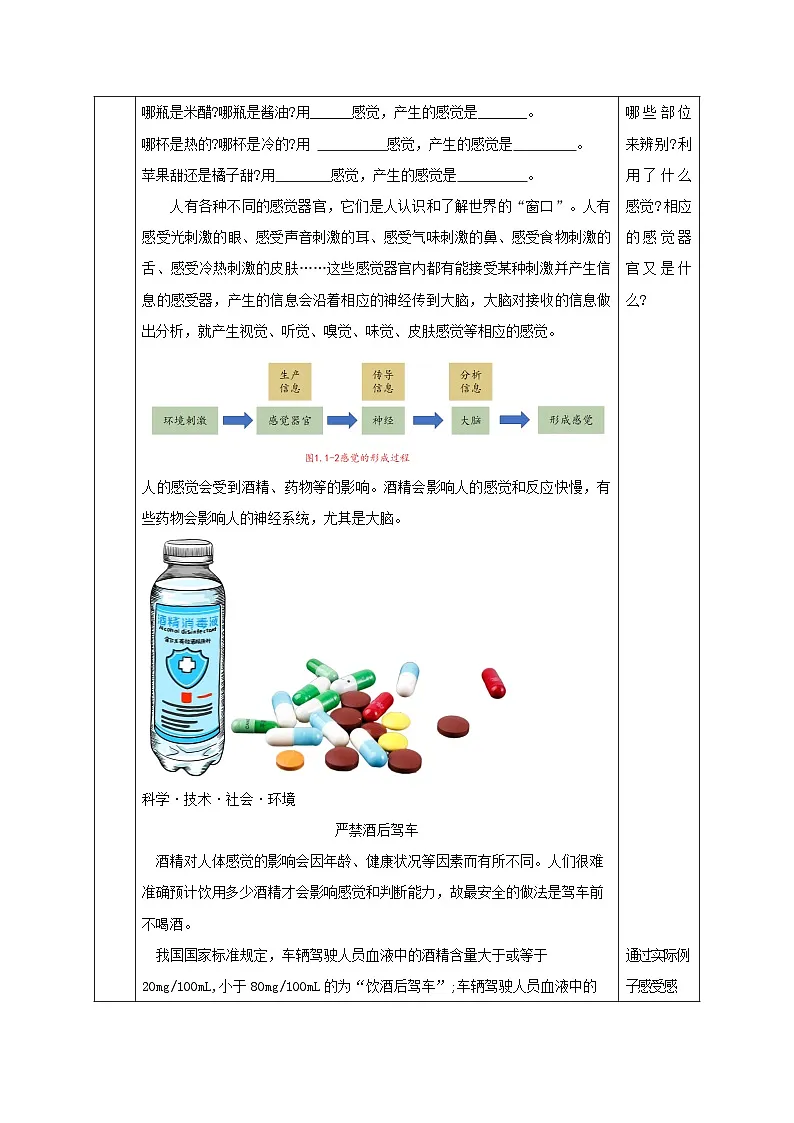 1.1 感觉世界（教学设计）-科学浙教版2024八年级上册第3页