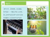 1.2.1 聲與聽覺(第1課時(shí))（培優(yōu)教學(xué)課件）科學(xué)浙教版2024八年級(jí)上冊(cè)