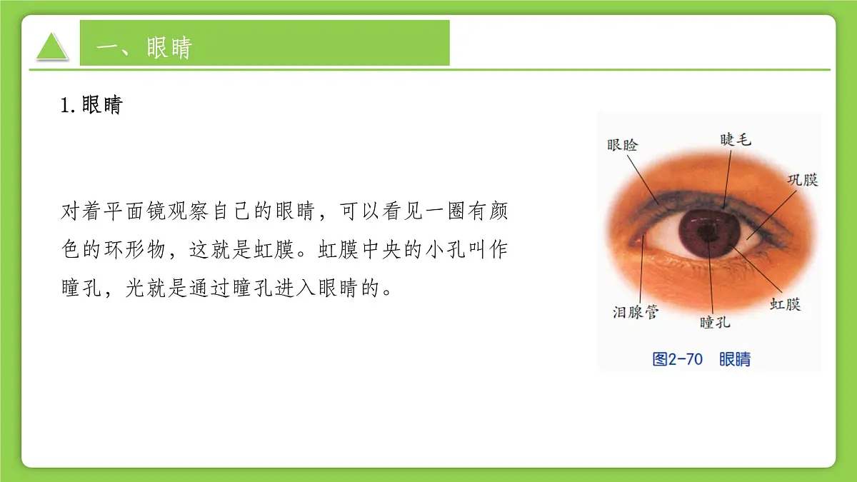 1.5.3 透镜和视觉（第3课时） （培优教学课件）科学浙教版2024八年级上册第7页