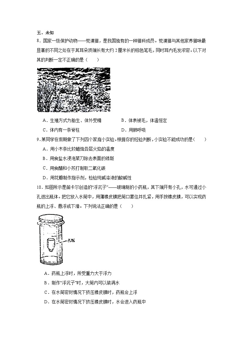 2025年浙江省金华市中考三模科学试题（无答案）第3页