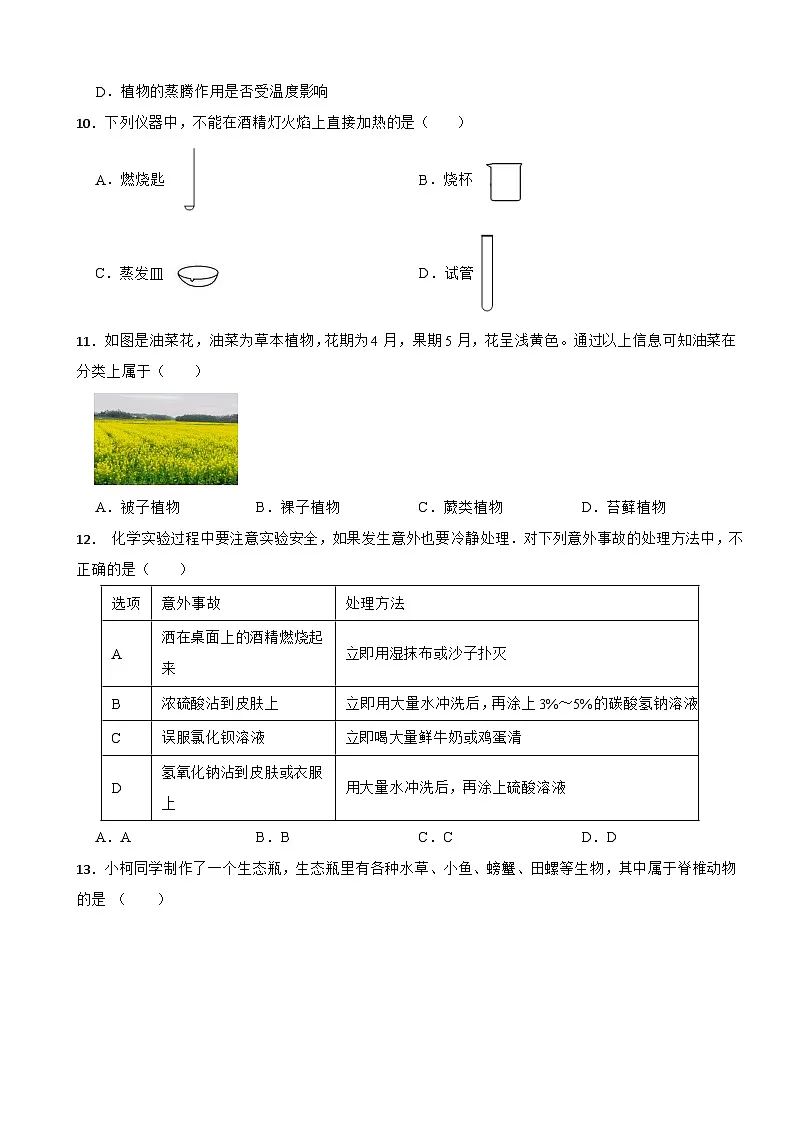 2025-2026学年浙教版七年级上册科学期中考前复习训练（有答案）第3页