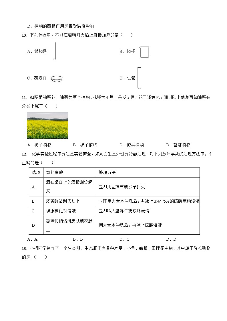 2025-2026学年浙教版七年级上册科学期中考前复习训练（有答案）第3页