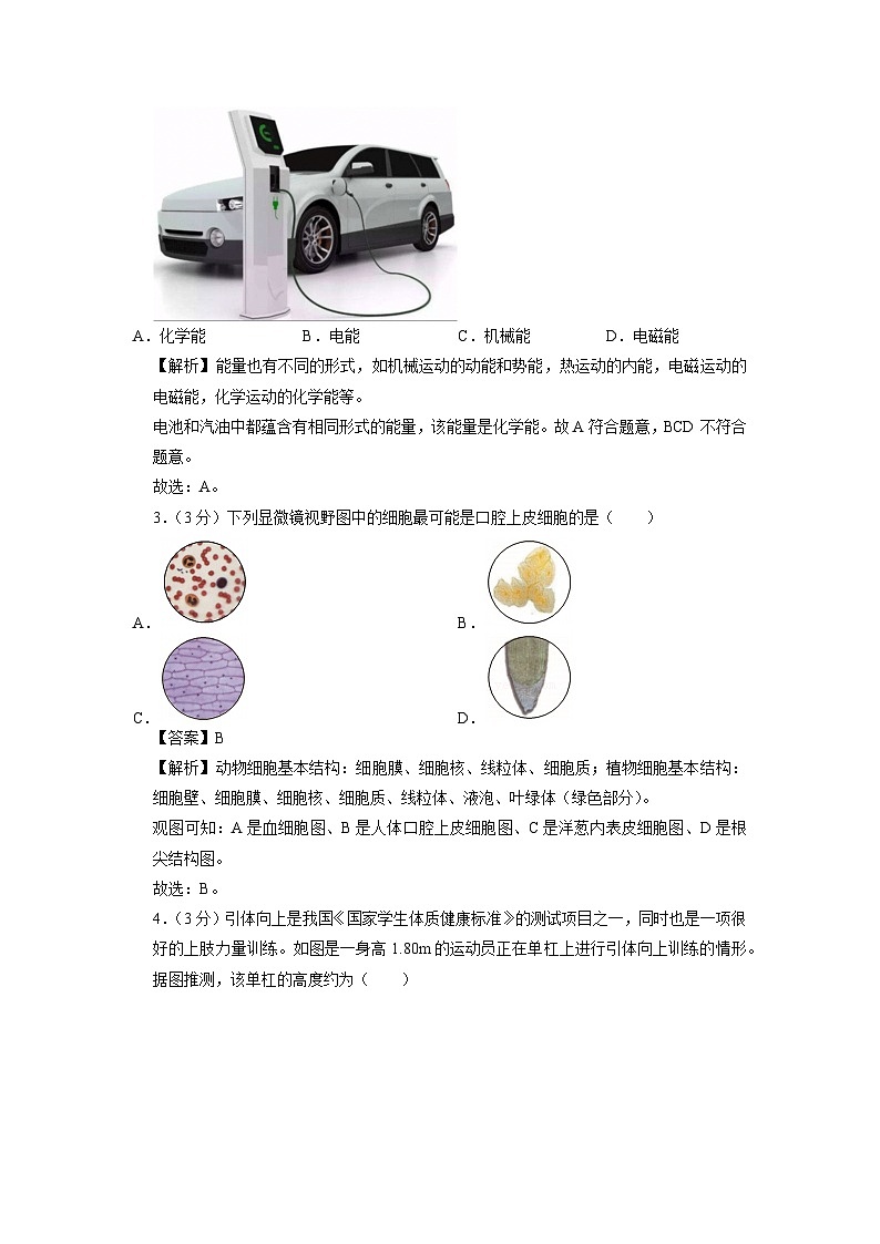 浙江省金华市金东区2024-2025学年七年级上学期期末科学试卷（解析版）第2页