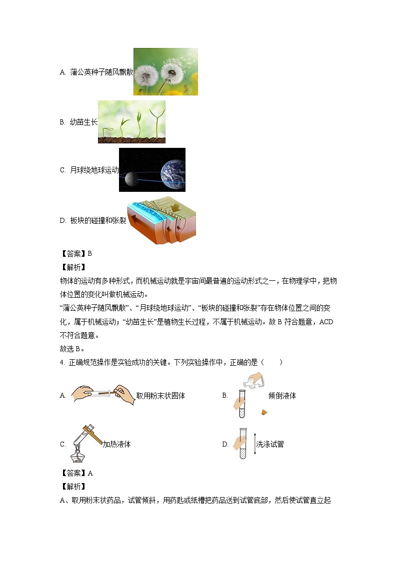 浙江省绍兴市新昌县2024-2025学年七年级上学期期末科学试卷（解析版）第3页
