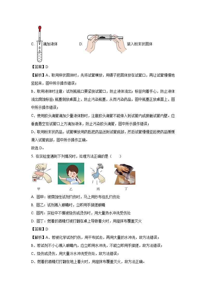 浙江省杭州市江南实验学校2025-2026学年七年级上学期第一次月考科学试题（解析版）第3页