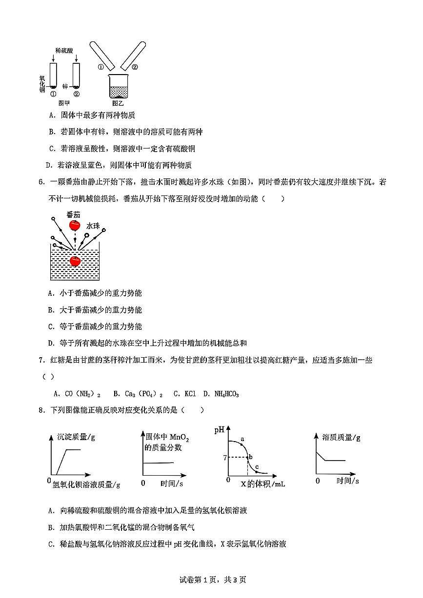 浙江省金华市义乌稠州中学2025年10月九年级上学期期中考试科学试卷及答案第2页