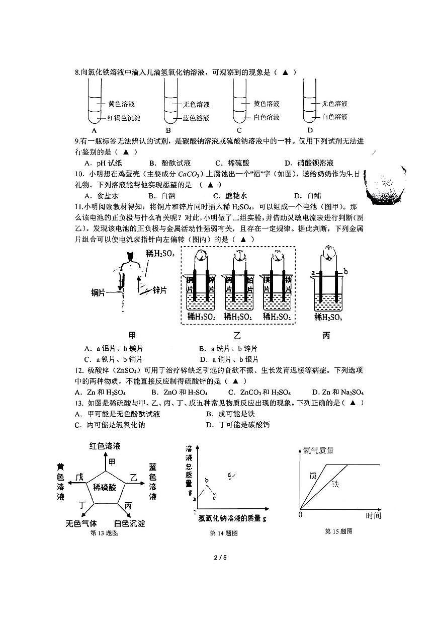 浙江省温州东欧中学2025-2026学年九年级上学期科学月考试题第2页