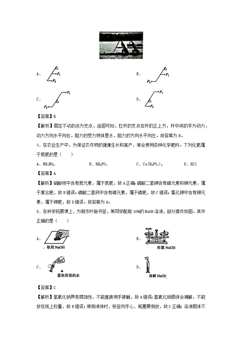 2024~2025学年浙江省宁波市鄞州区九年级（上）1月期末科学试题（解析版）第2页