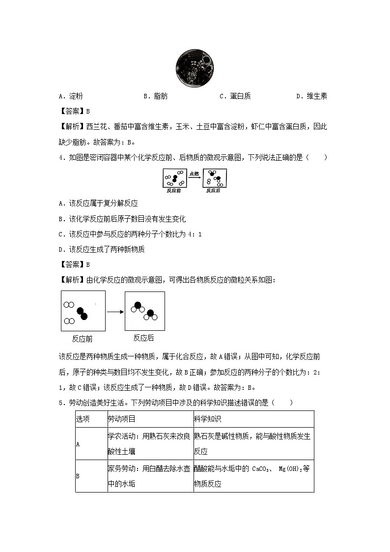 2024~2025学年浙江省宁波市海曙区九年级（上）期末科学试题（解析版）第2页