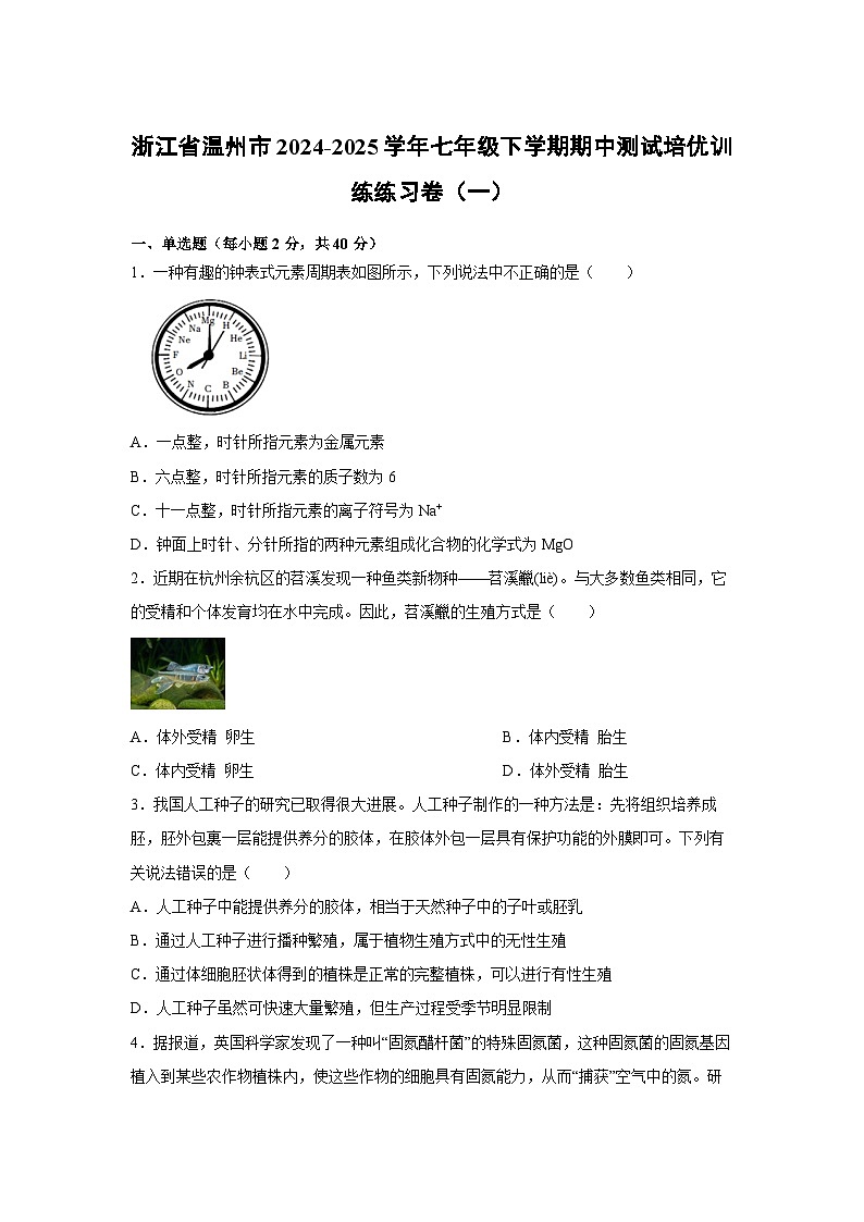 浙江省温州市2024-2025学年七年级下学期期中测试培优训练练习卷（一）科学试卷（学生版）第1页