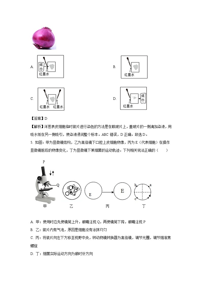 浙江省绍兴市校级2025-2026学年七年级上学期10月月考科学试卷（解析版）第3页