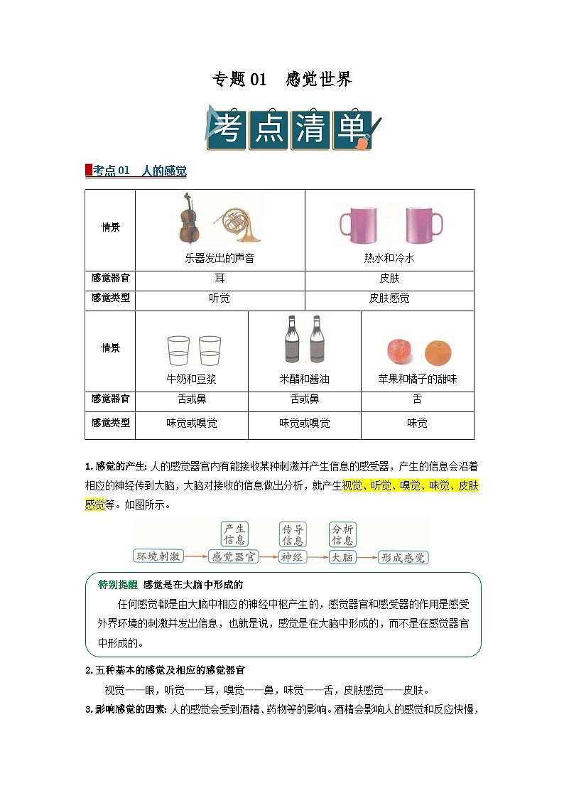 专题01感觉世界（word）2025-2026学年八上科学浙教版2024复习学案知识点+习题（原卷版）第1页