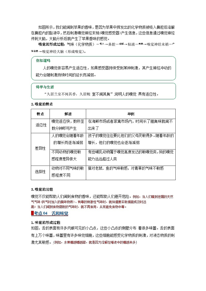 专题01感觉世界（word）2025-2026学年八上科学浙教版2024复习学案知识点+习题（原卷版）第3页