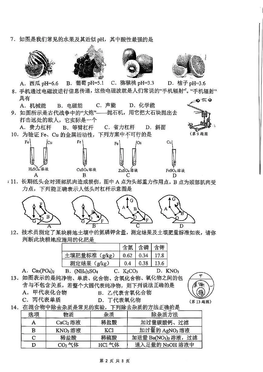 浙江省杭州市保俶塔实验学校2025-2026学年九年级上学期期中科学试卷第2页