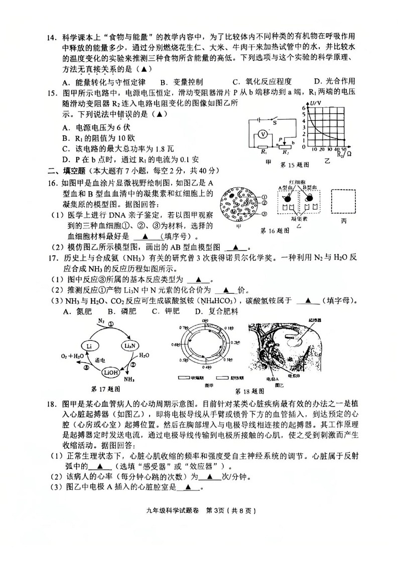 浙江省金华市东阳市2024-2025学年九年级上学期1月期末科学试题第3页
