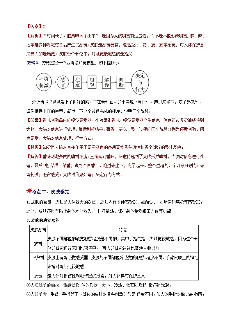 八上第一章 第1节 感觉世界 举一反三（解析版）第3页