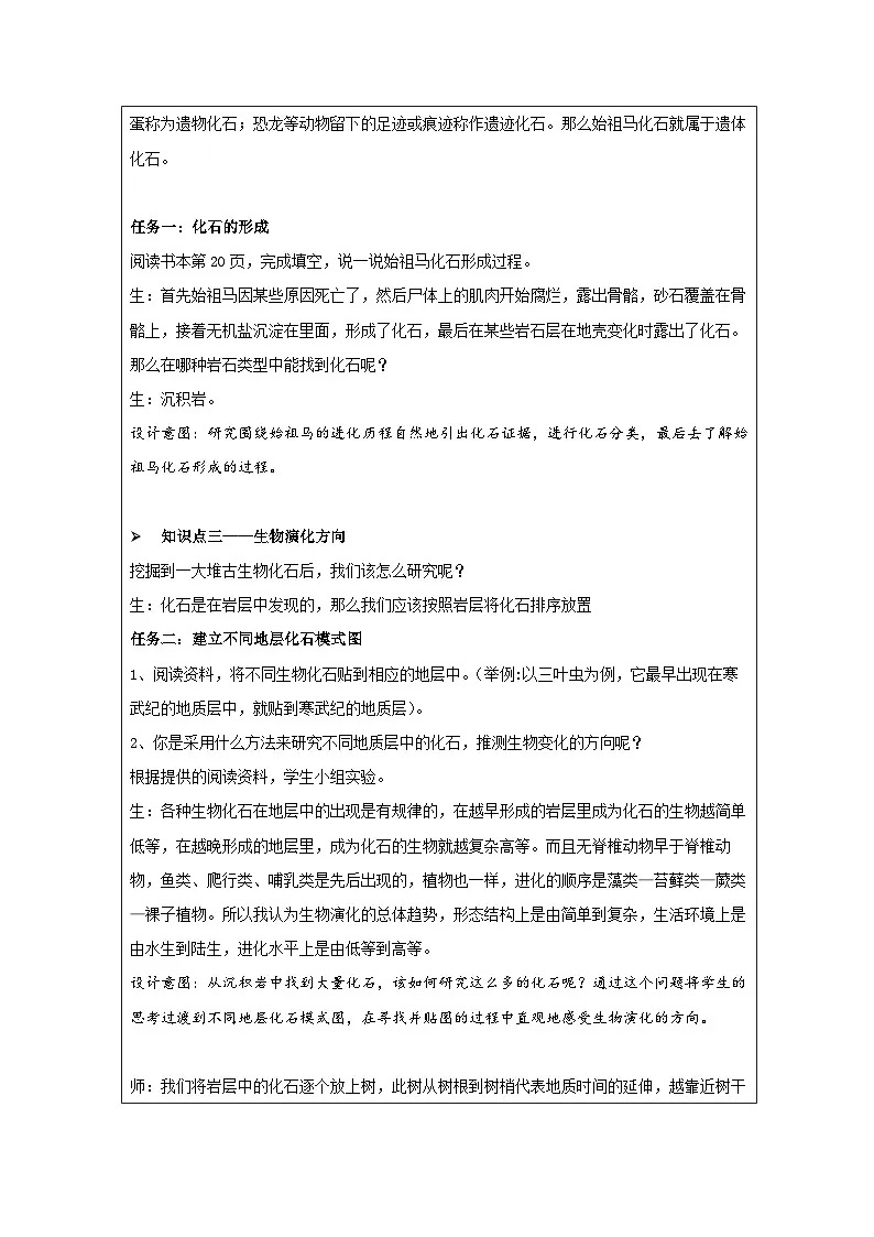 浙教版科学九年级下册1.4生物的进化 表格式教案第3页